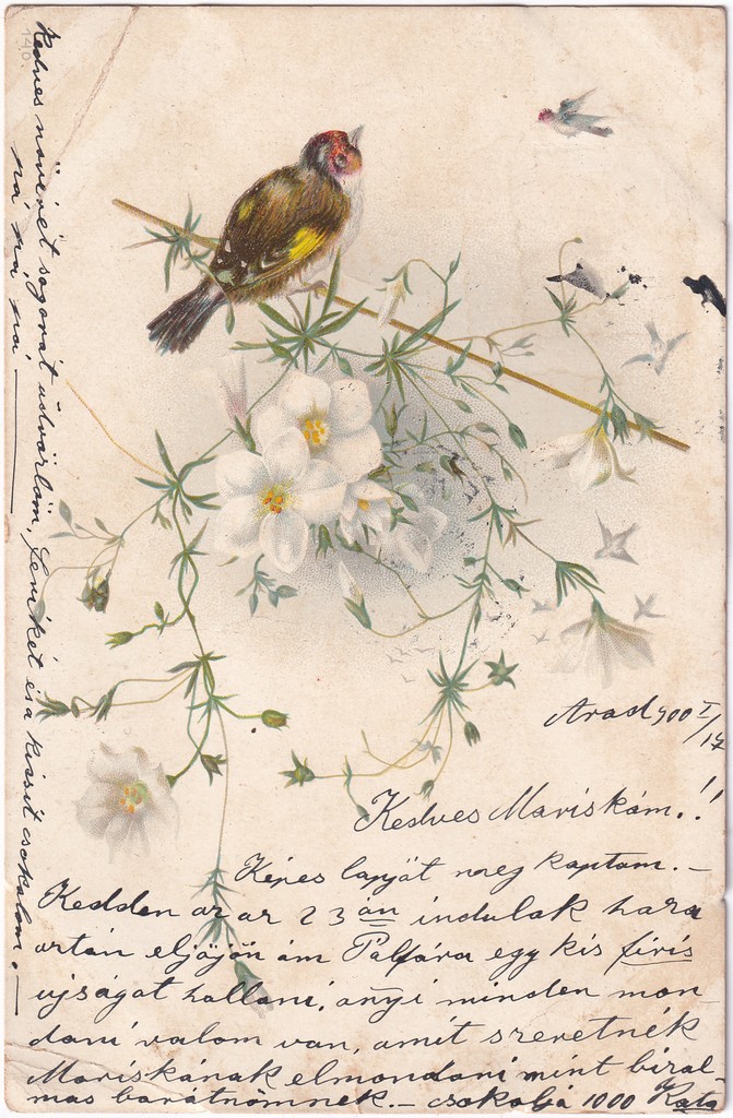 [069] Virág, madár , Arad