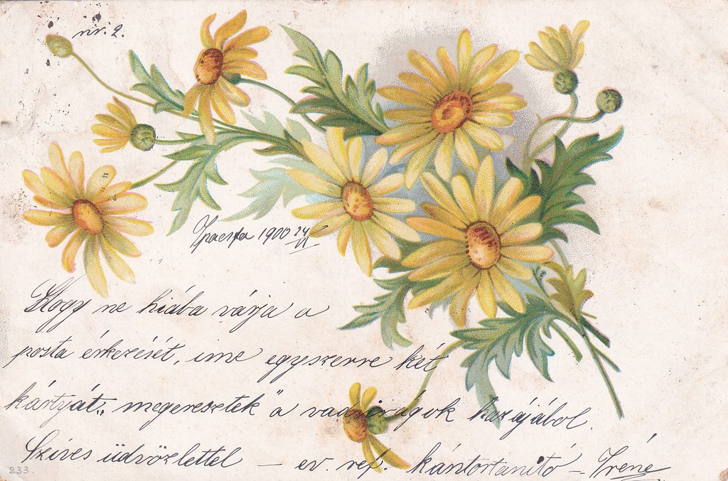 [155] Sárga virágok , Ipacsfa 